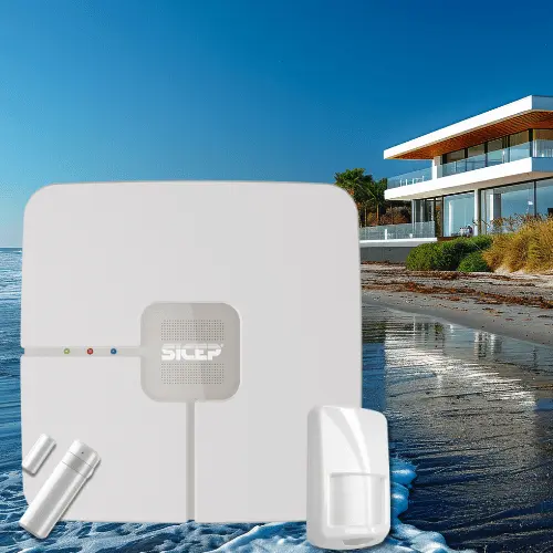 Untitled design (11).webp