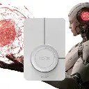 Untitled design (23).webp